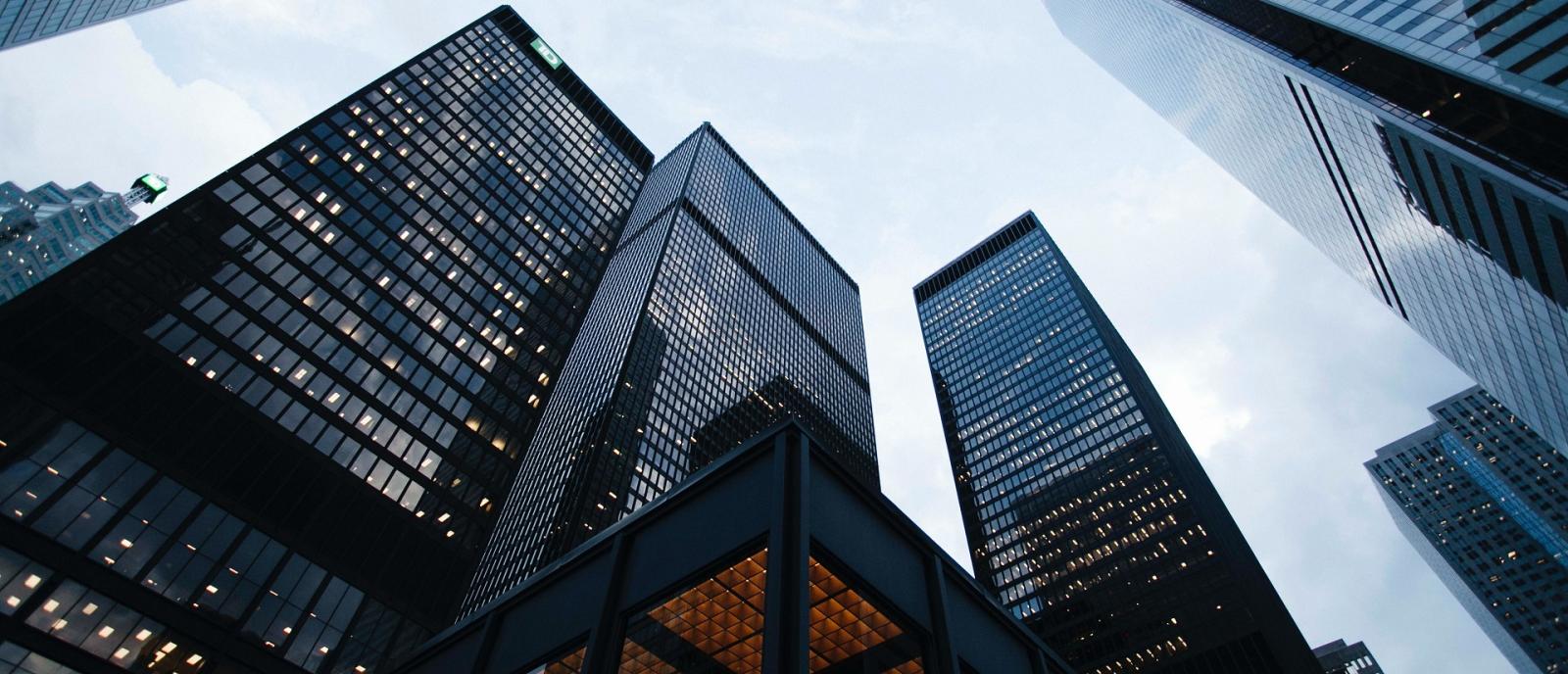 profesionisti building-edificio